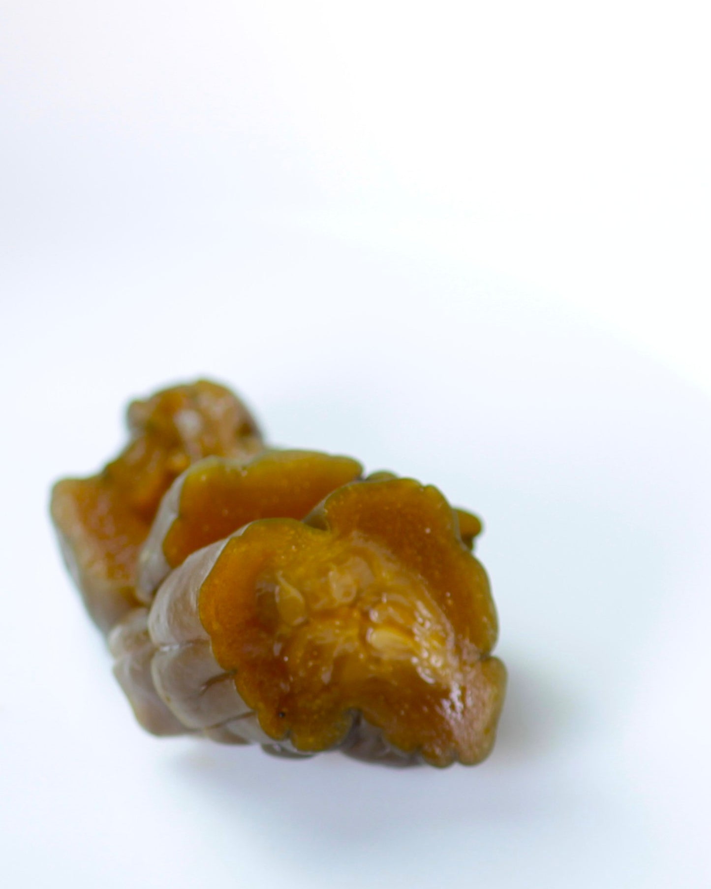 胡瓜酒粕漬